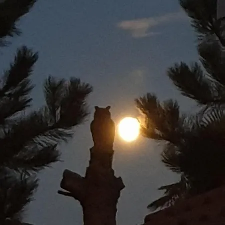 Redhouse Zen Appart hôtel Roques