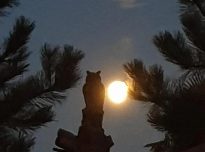 Redhouse Zen 公寓式酒店 尔龙河畔若吉斯